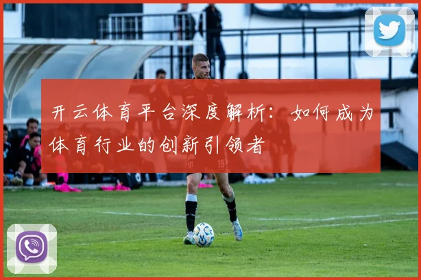 开云体育平台深度解析：如何成为体育行业的创新引领者